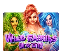 Wild Fairies